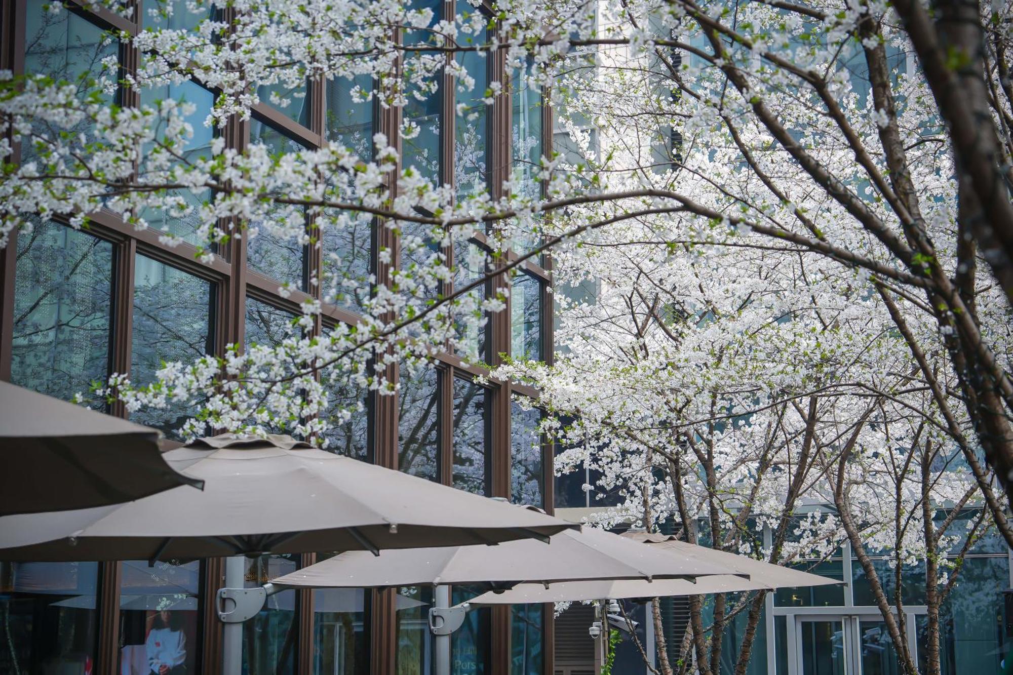 Midtown Shangri-La, Hangzhou - Around 5 Minutes Walking Distance To West Lake Esterno foto